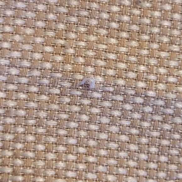 Kani Gold Boy's Dress Shirt Size 12 - Picture 5 of 7